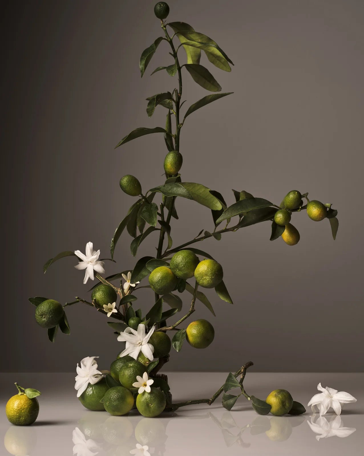 Homecourt Neroli Leaf Surface Cleaner