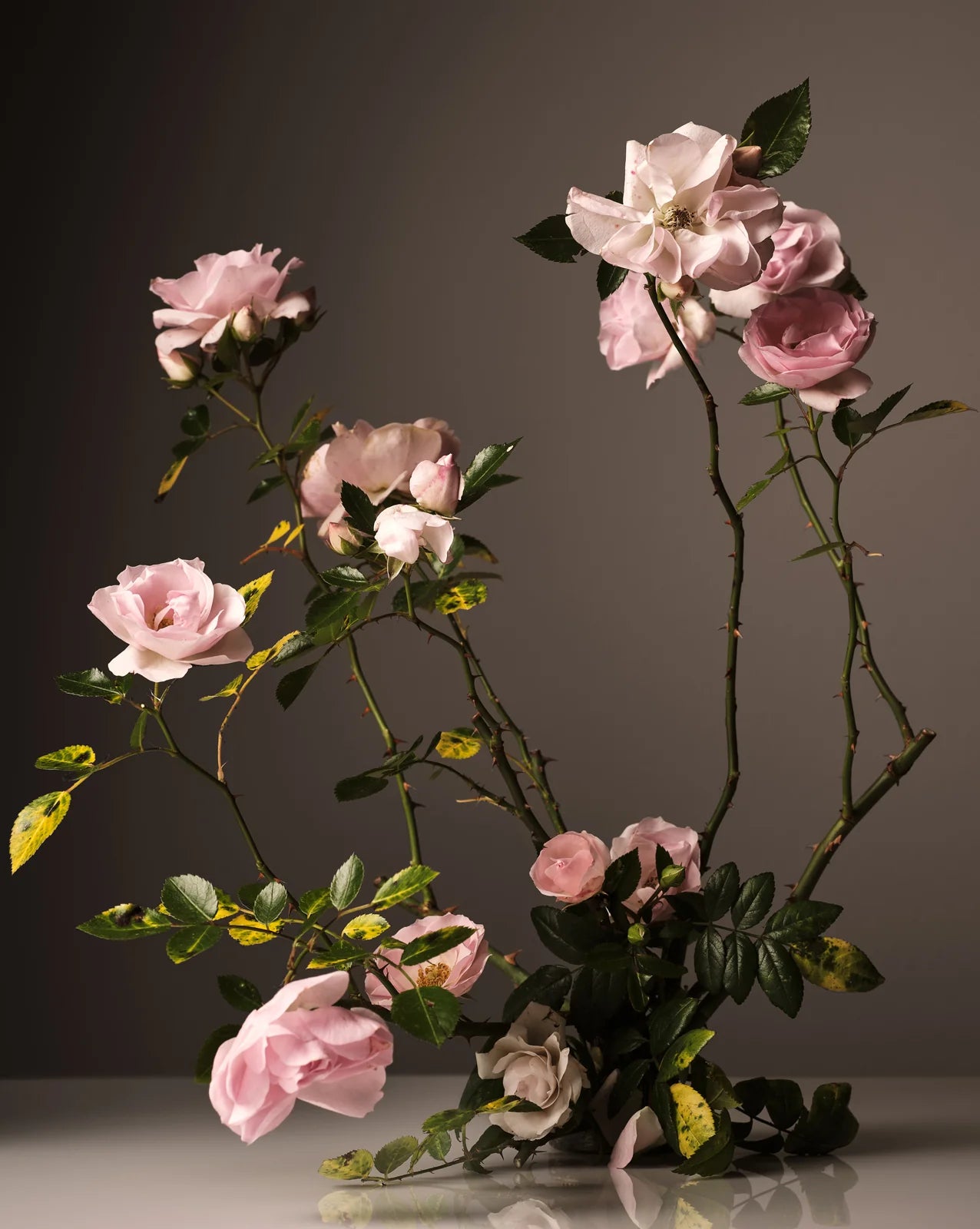 Homecourt Steeped Rose Hand Cream By Courtney Cox