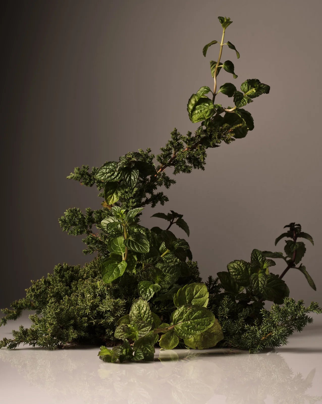 Homecourt Cipres Mint Surface Cleaner