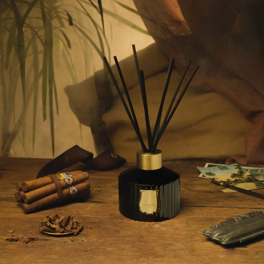 Ernesto Reed Diffuser
