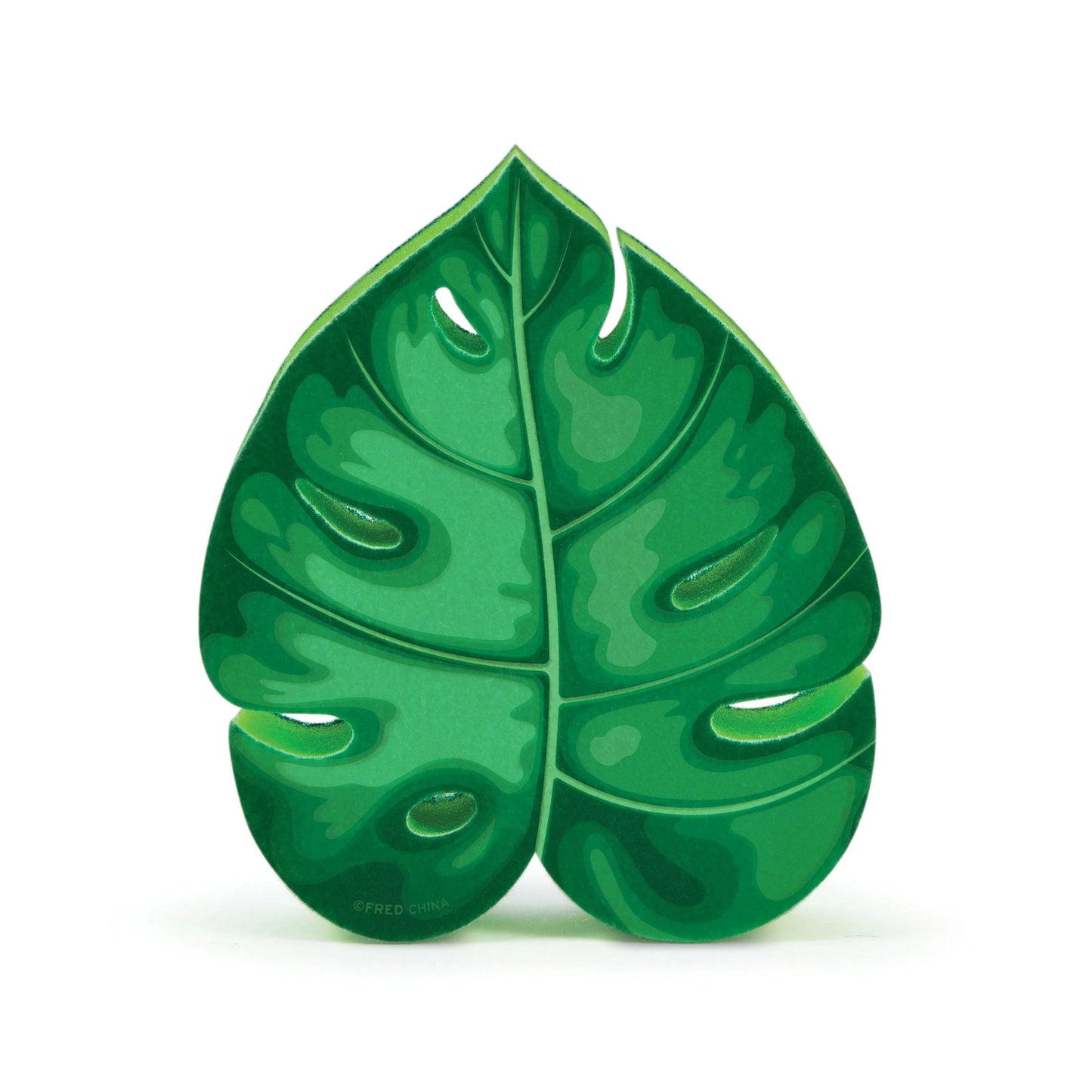 House Plant Kitchen Sponge