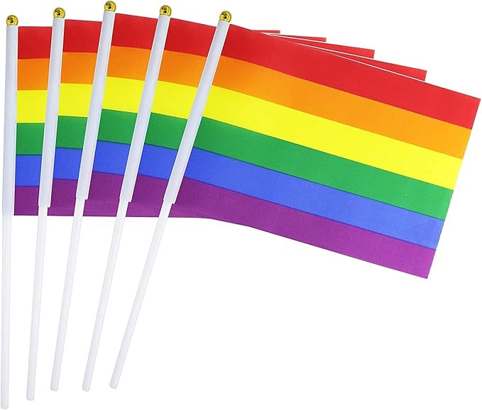 Small Pride Flag
