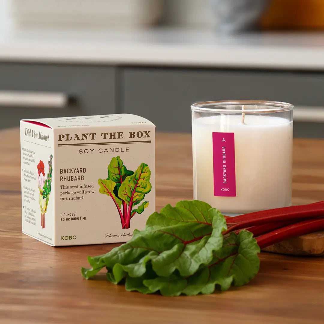 Plant The Box Backyard Rhubarb Candle 9oz