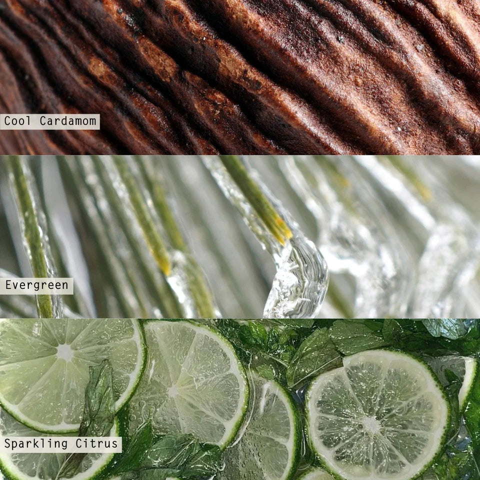 Winter White Refillable Boxed Glass Candle 10z