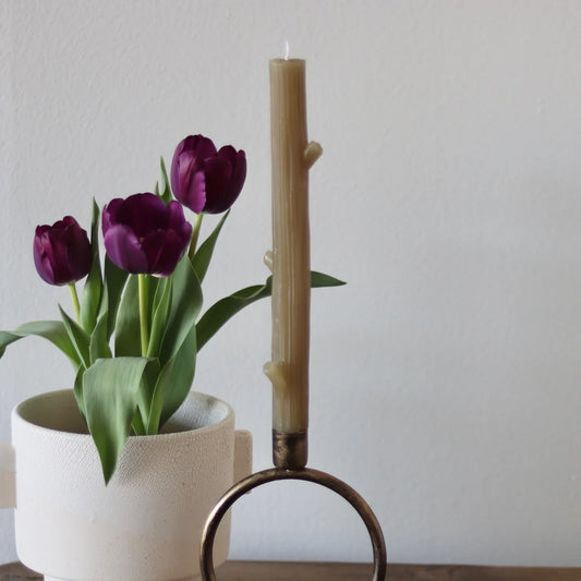 Twig Shaped Taper Candles 10β Green