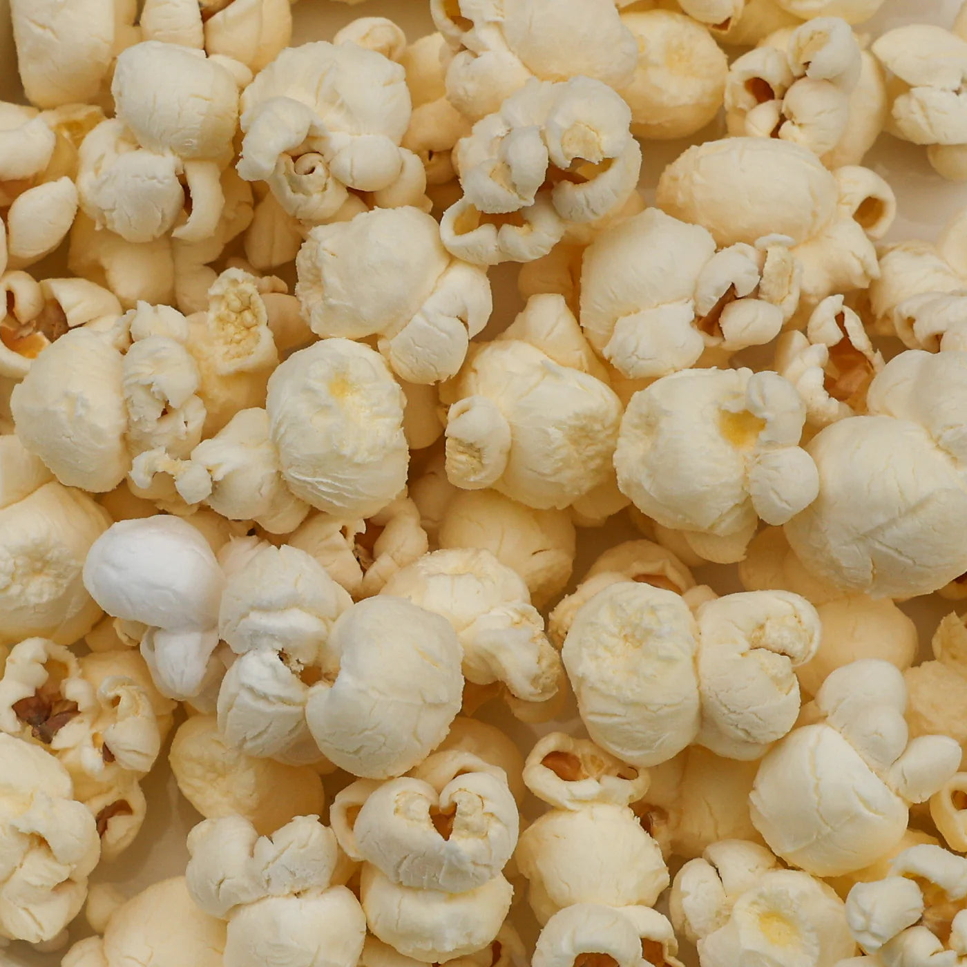 Medium Yellow Popcorn 1lb Bag