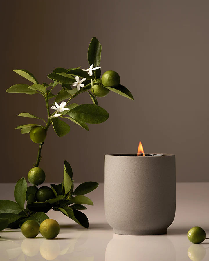 Homecourt Neroli Leaf Candle