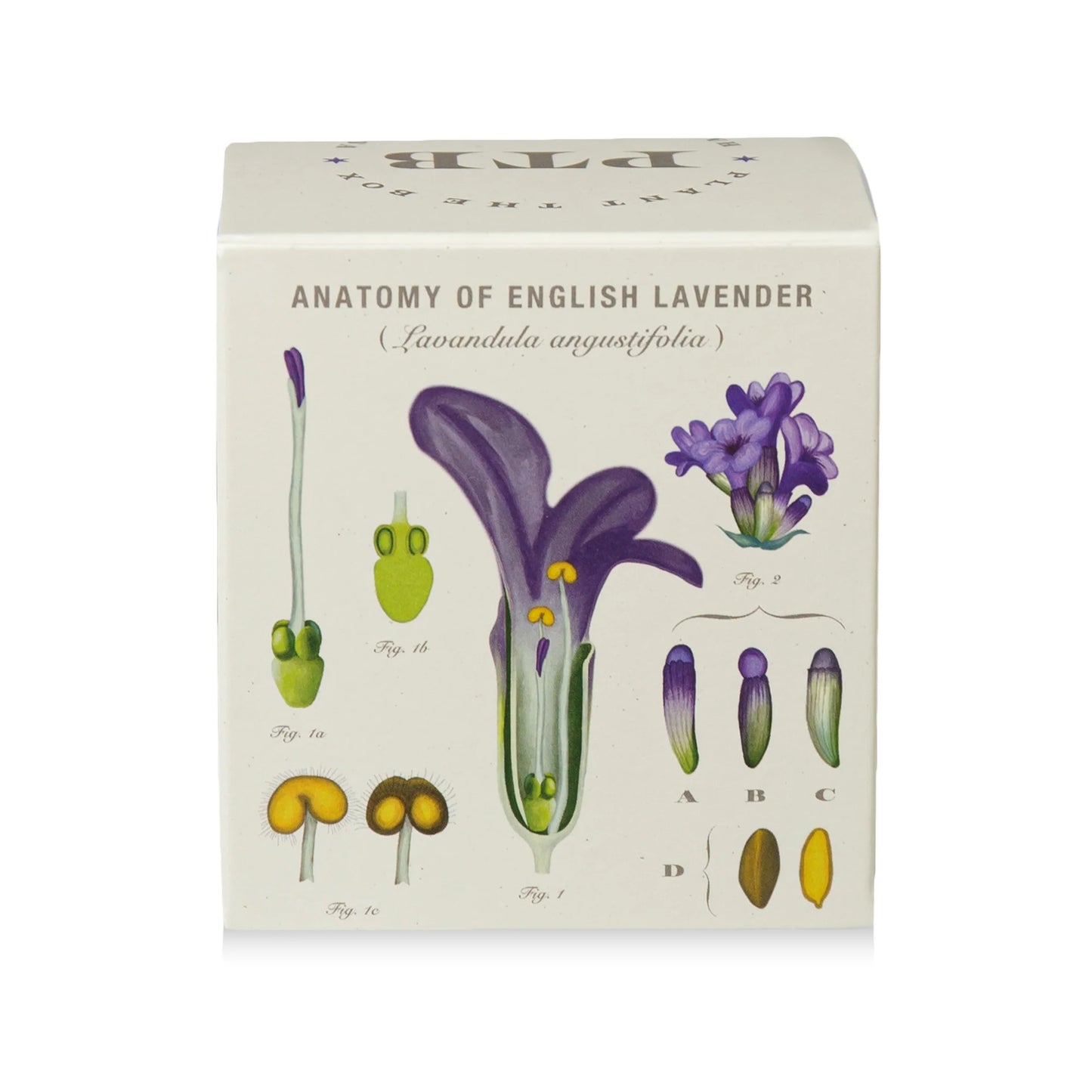 Plant The Box Heath Lavender Candle 9oz