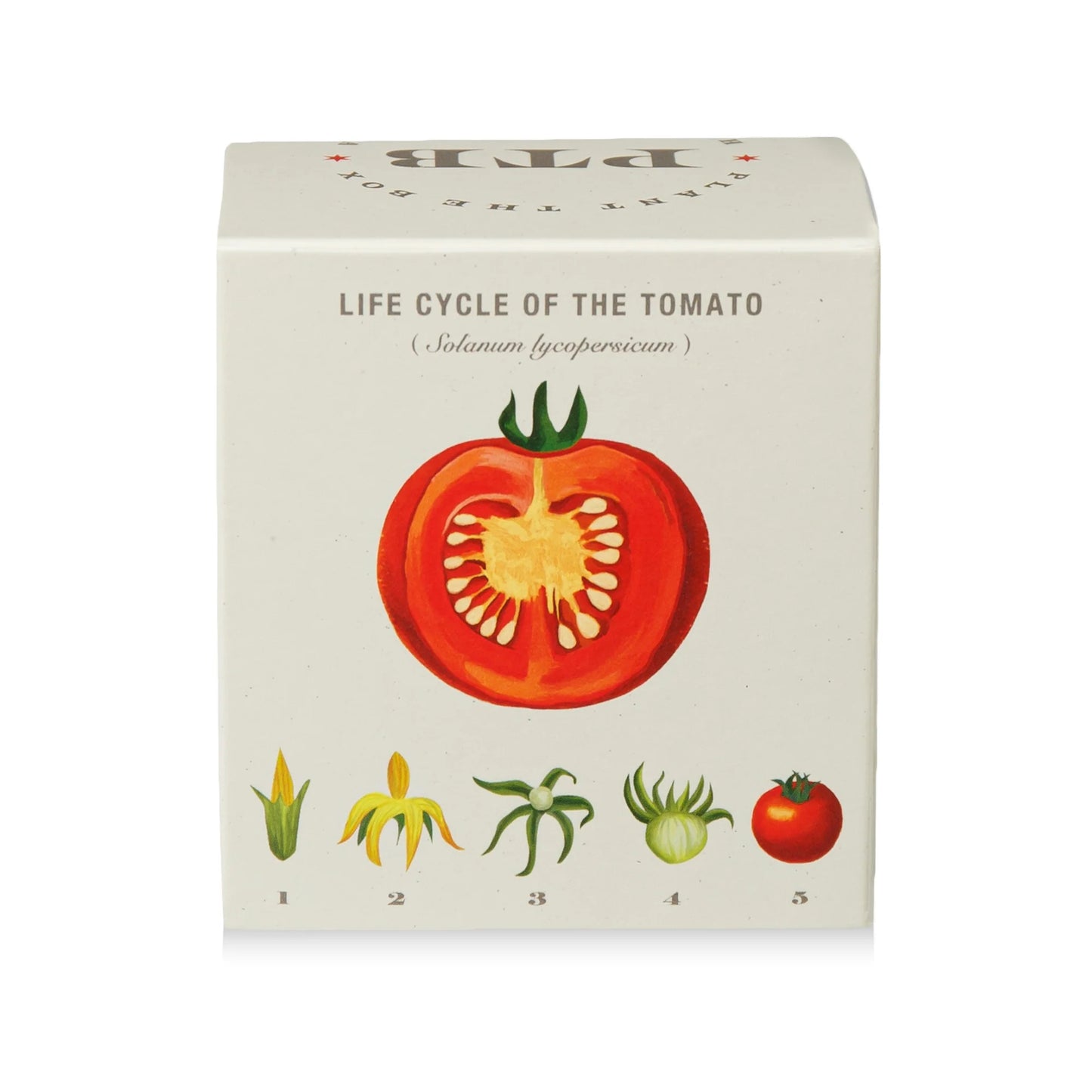 Plant The Box Wild Tomato Vine Candle 9oz