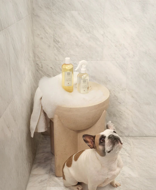 Antica Farmacista - Cozy Friend Pet Shampoo - 16 fl oz