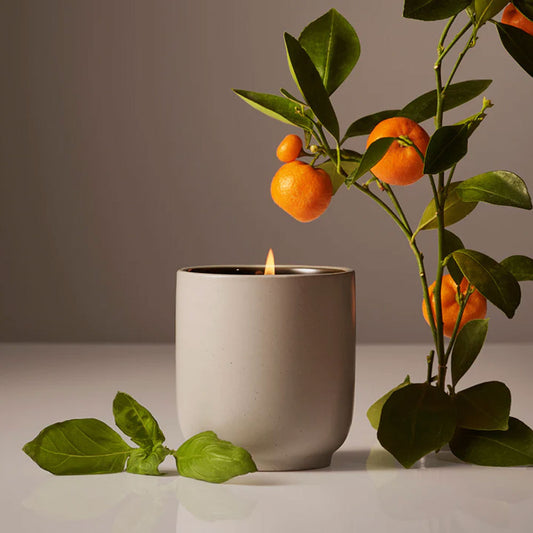 Homecourt Mandarin Basile Candle