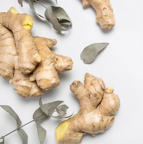Maison France Luxe Laundry Detergent - Ginger Root