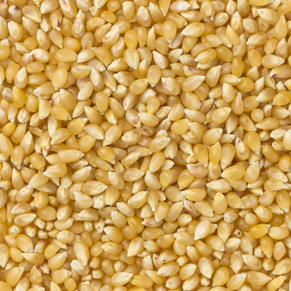 Assorted 4oz Popcorn Bag