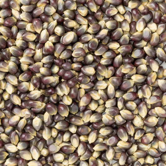 Blue Popcorn 1lb Bag