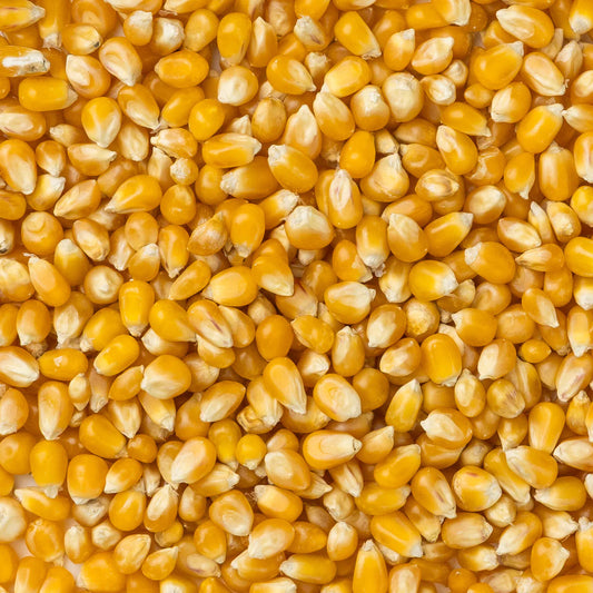 Extra Large Caramel Popcorn 1lb Bag