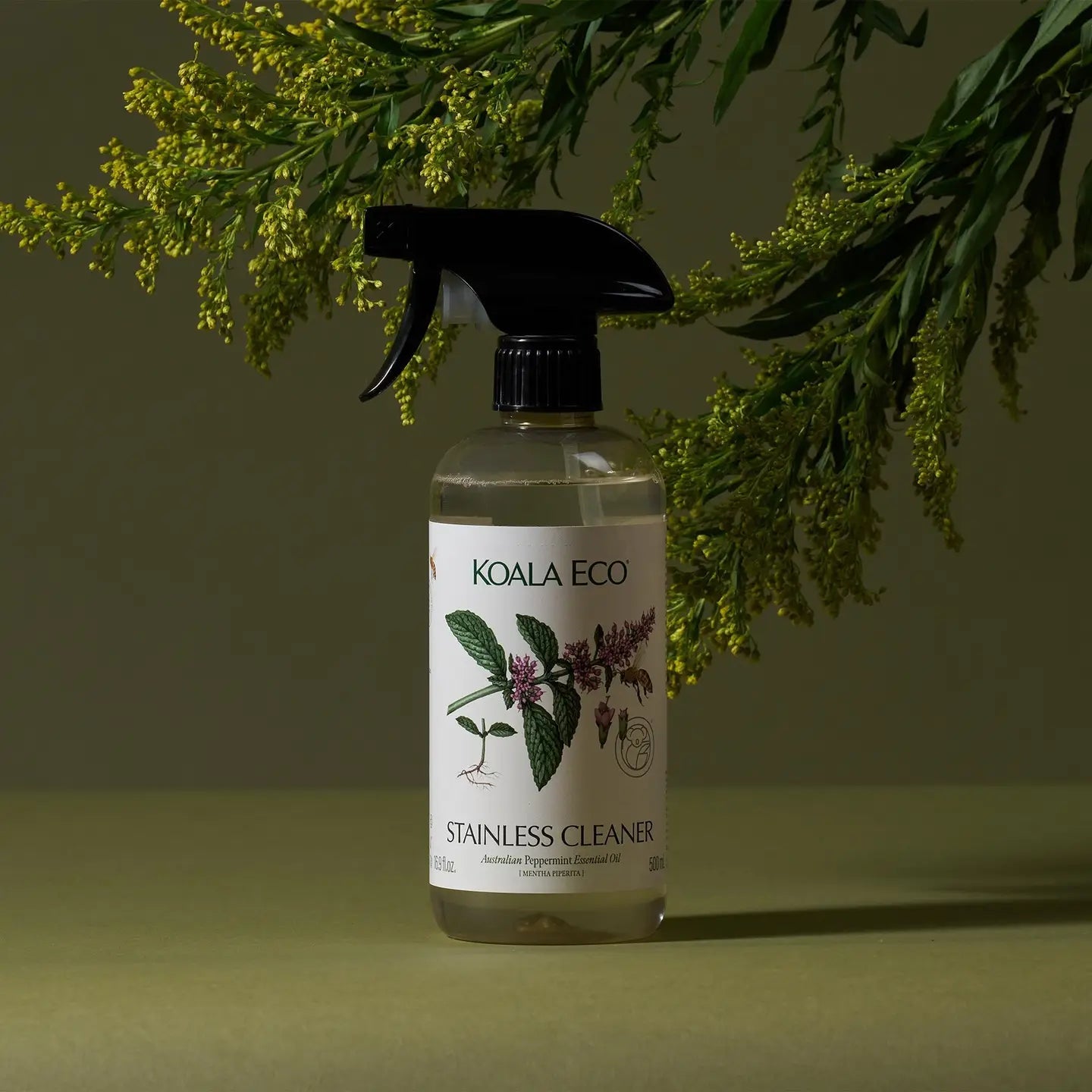 Peppermint Stainless Steel Cleaner