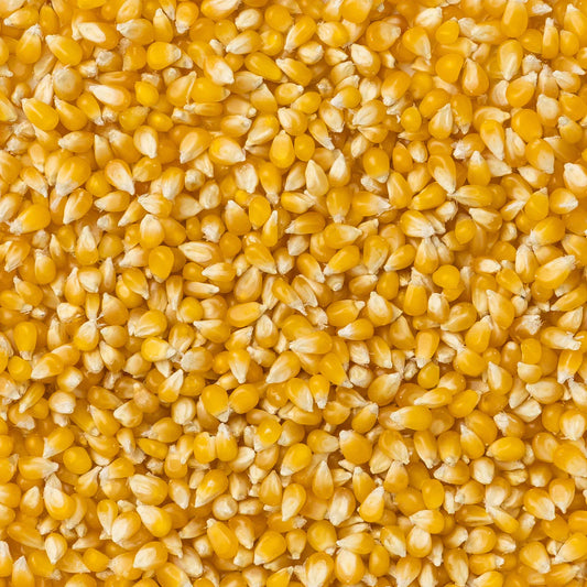 Assorted 4oz Popcorn Bag