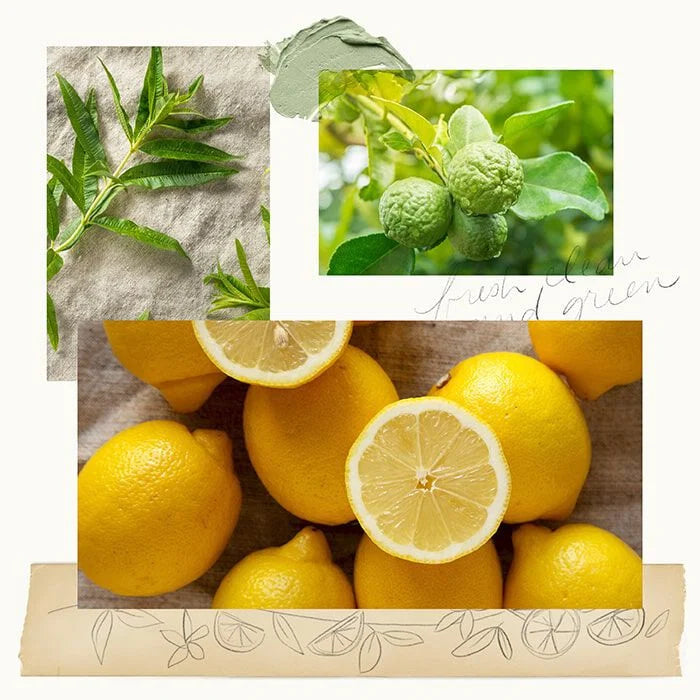 Thymes Lemon Leaf Aromatic Candle