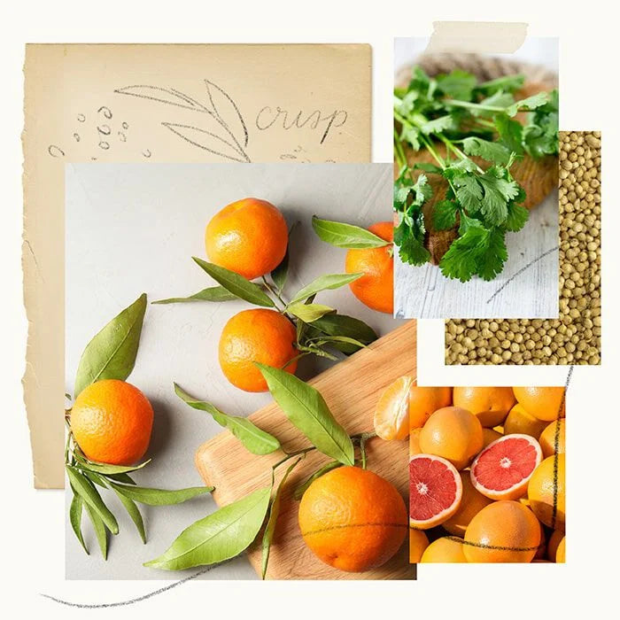 Thymes Mandarin Coriander Wool Dryer Balls and Oil Set