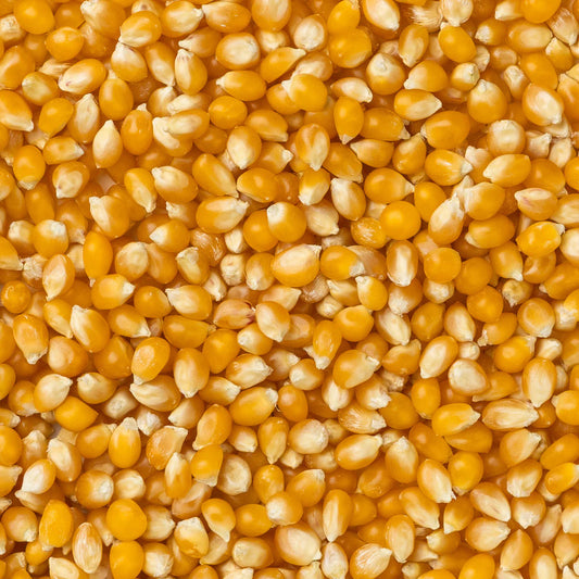 Medium Yellow Popcorn 1lb Bag