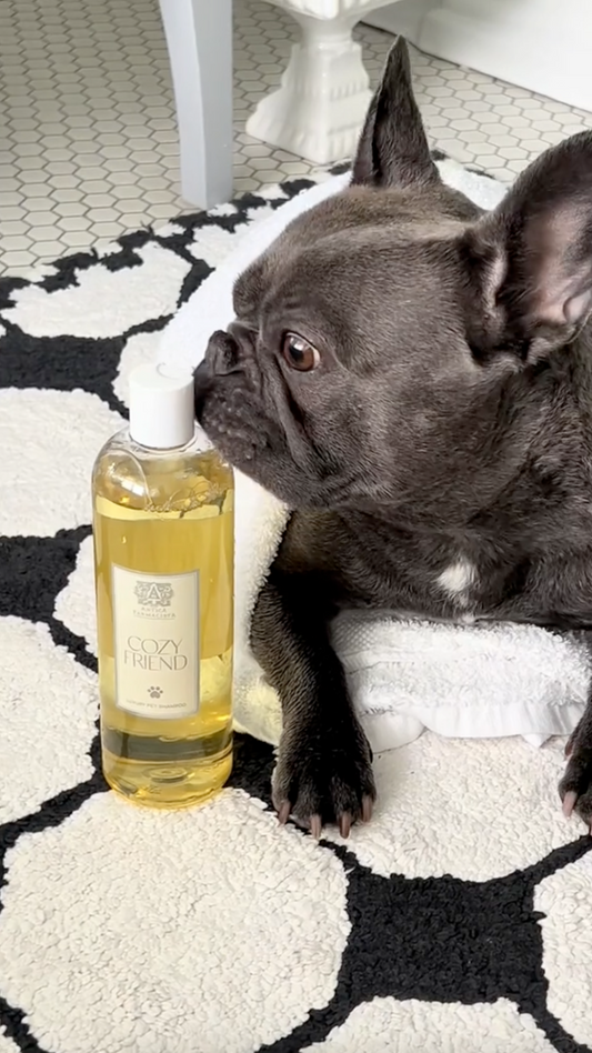 Antica Farmacista - Cozy Friend Pet Shampoo - 16 fl oz
