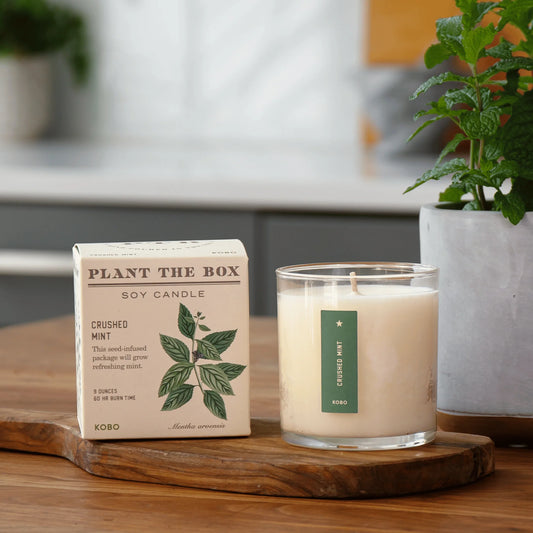 Plant The Box Crushed Mint Candle 9oz