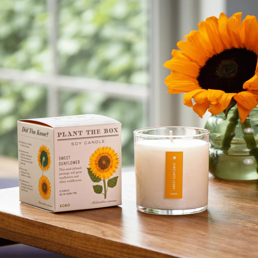 Plant The Box Sweet Sunflower Candle 9oz