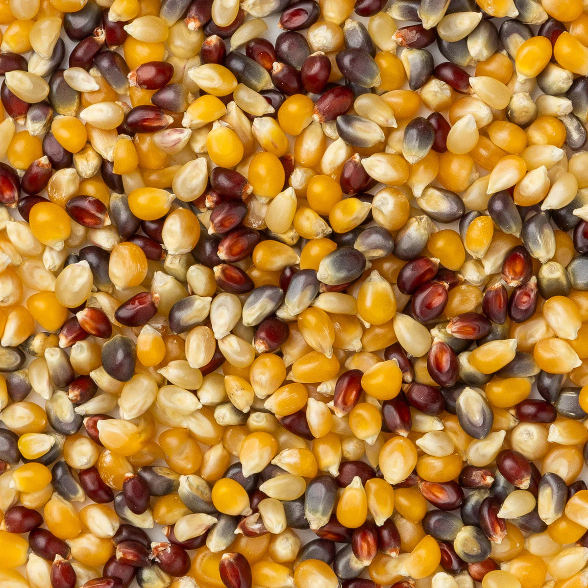 Assorted 4oz Popcorn Bag