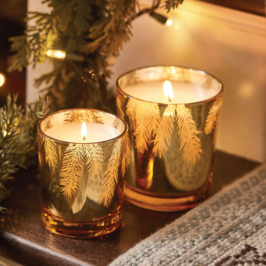 Thymes Frasier Fir Gilded Gold Candle - 3 Sizes