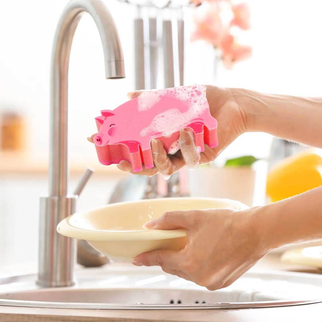 Pink Pig Sponges