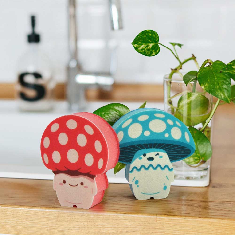 Fun guys sponges in the kitchen
