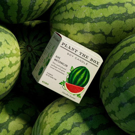 Plant The Box Ripe Watermelon Candle 9oz