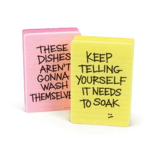 Clean Conscience Sponges