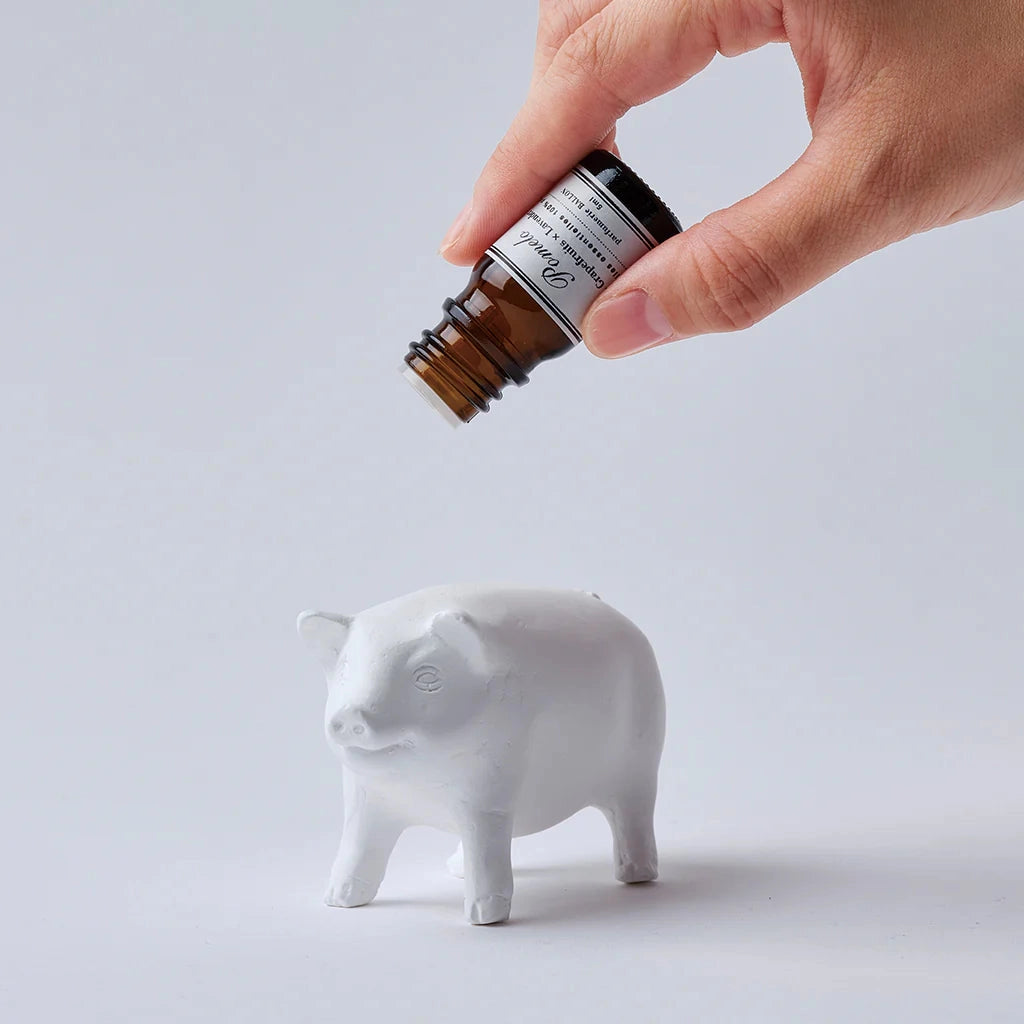 Walking Pig Oil Diffuser