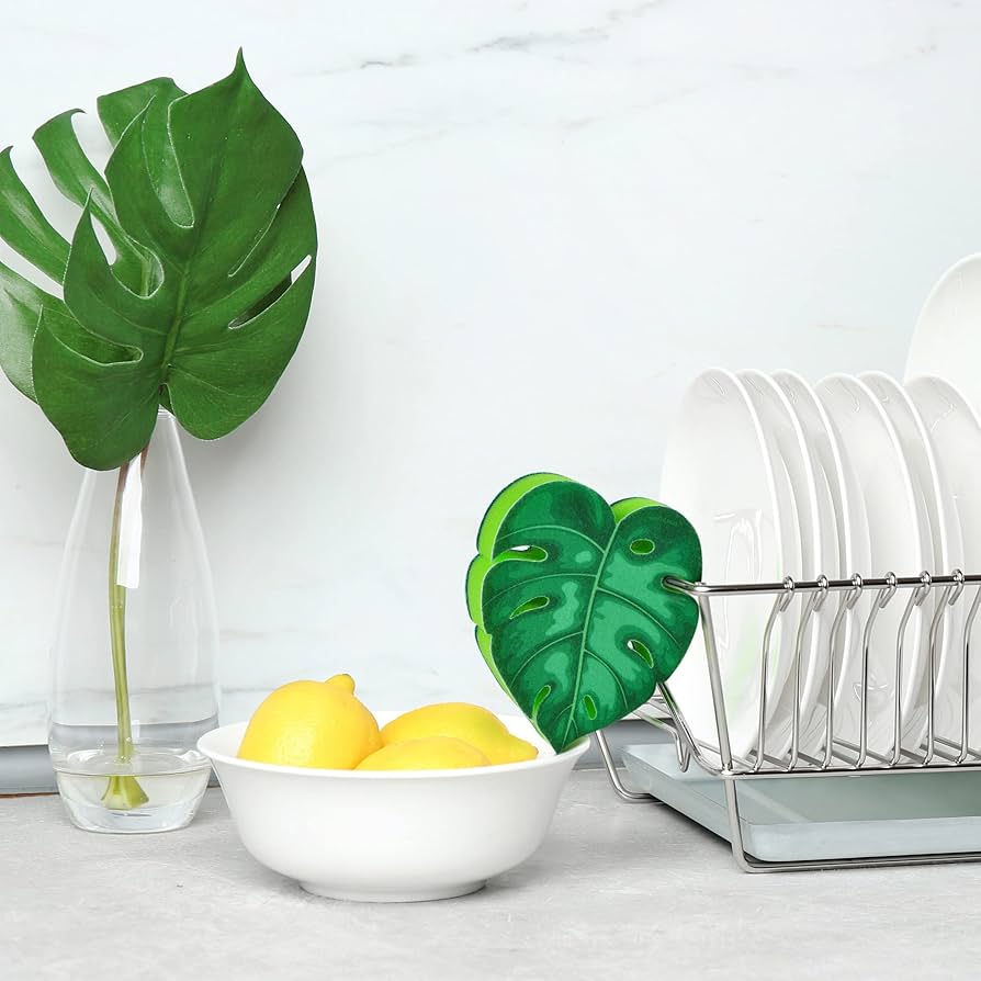 House Plant Kitchen Sponge