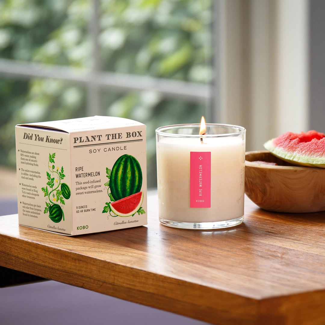 Plant The Box Ripe Watermelon Candle 9oz