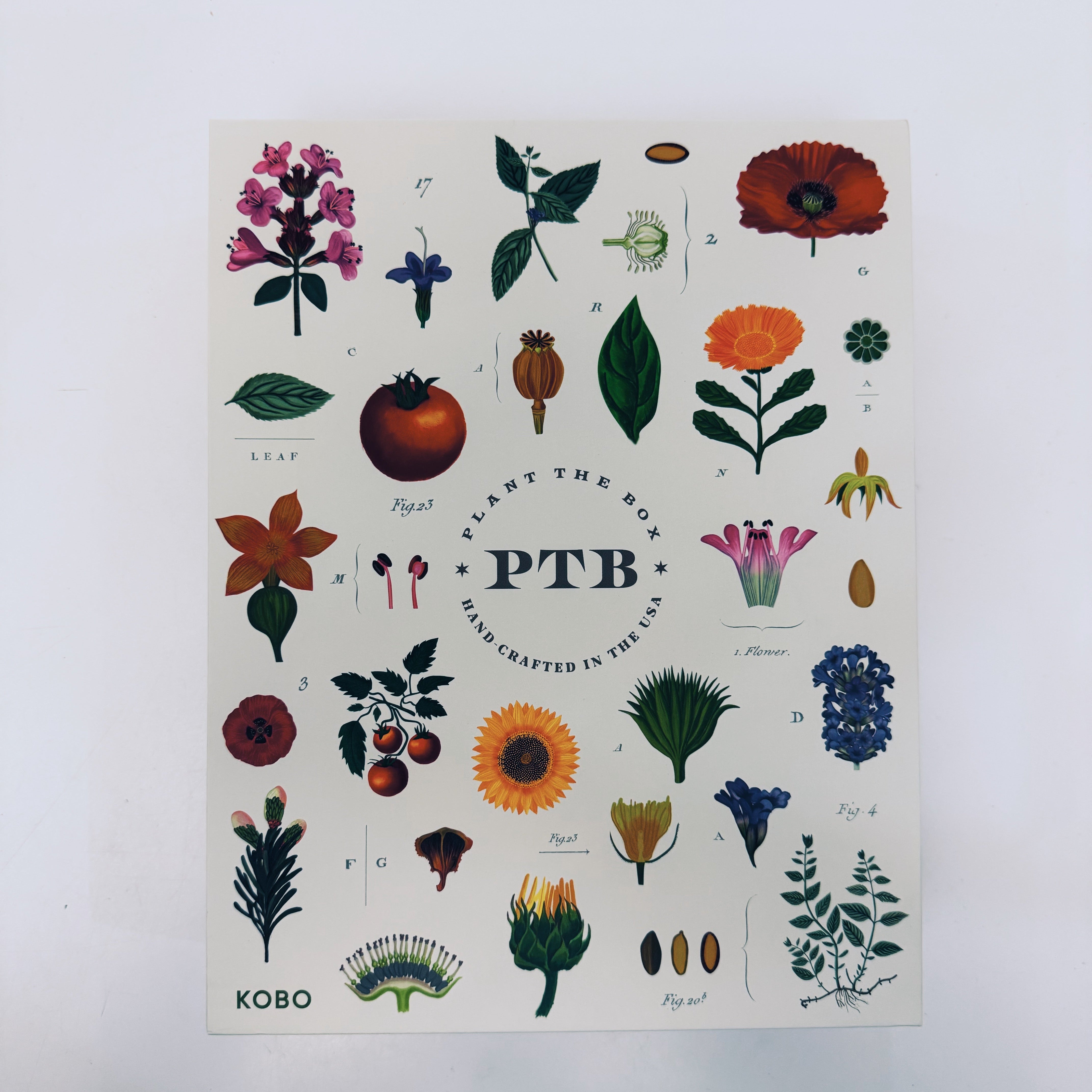 Plant The Box Wild Tomato Vine Gift Duo - Thumbnail 2