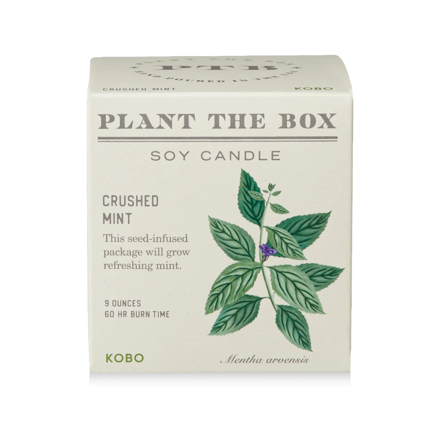 Plant The Box Crushed Mint Candle 9oz