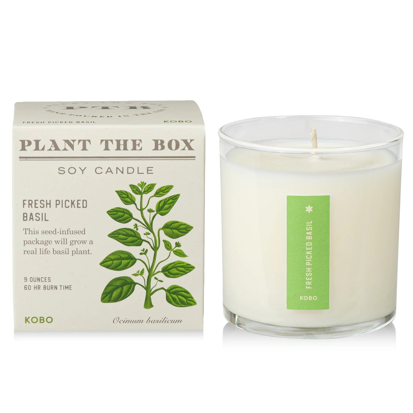 Plant The Box Fresh Picked Basil Candle 9oz