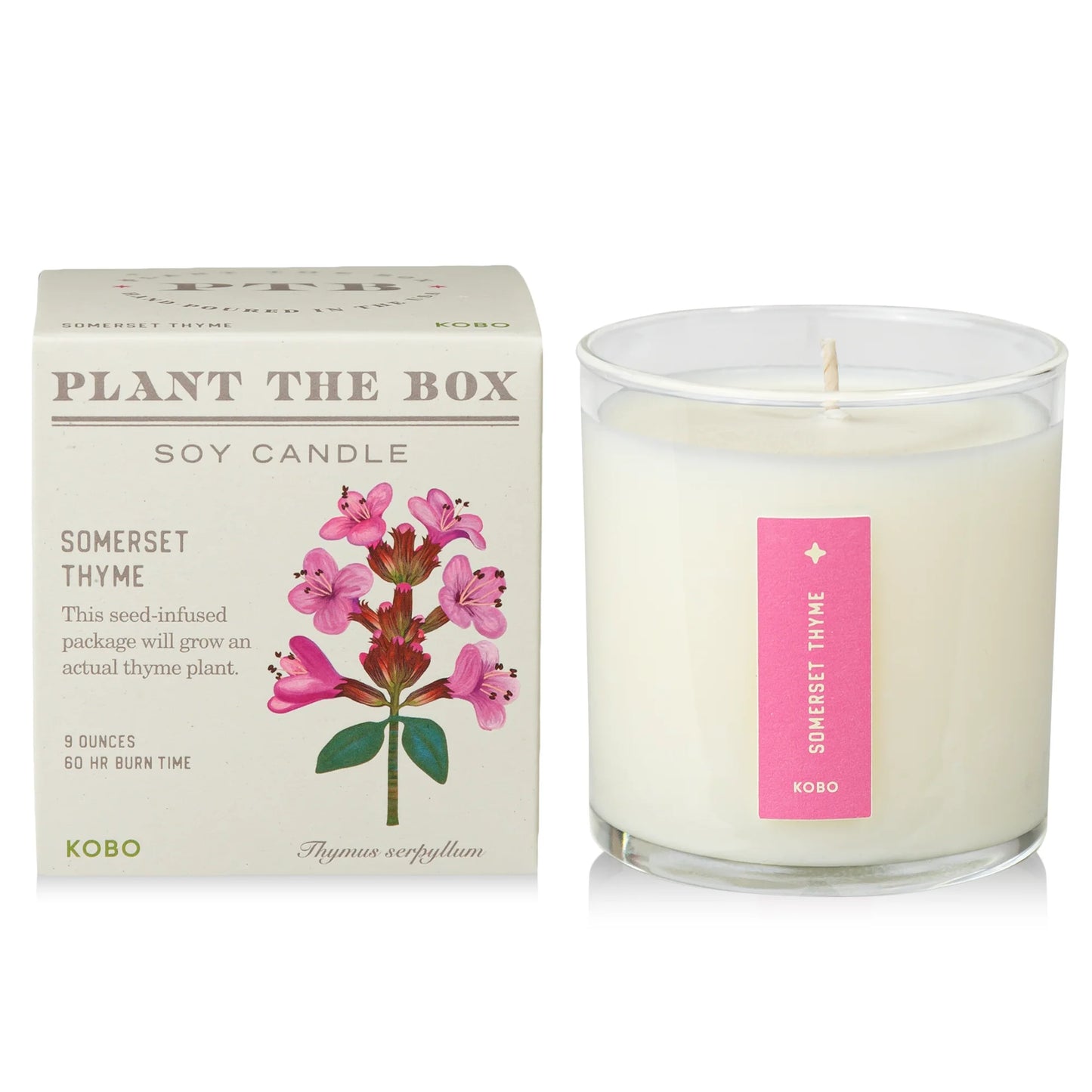 Plant The Box Somerset Thyme Candle 9oz