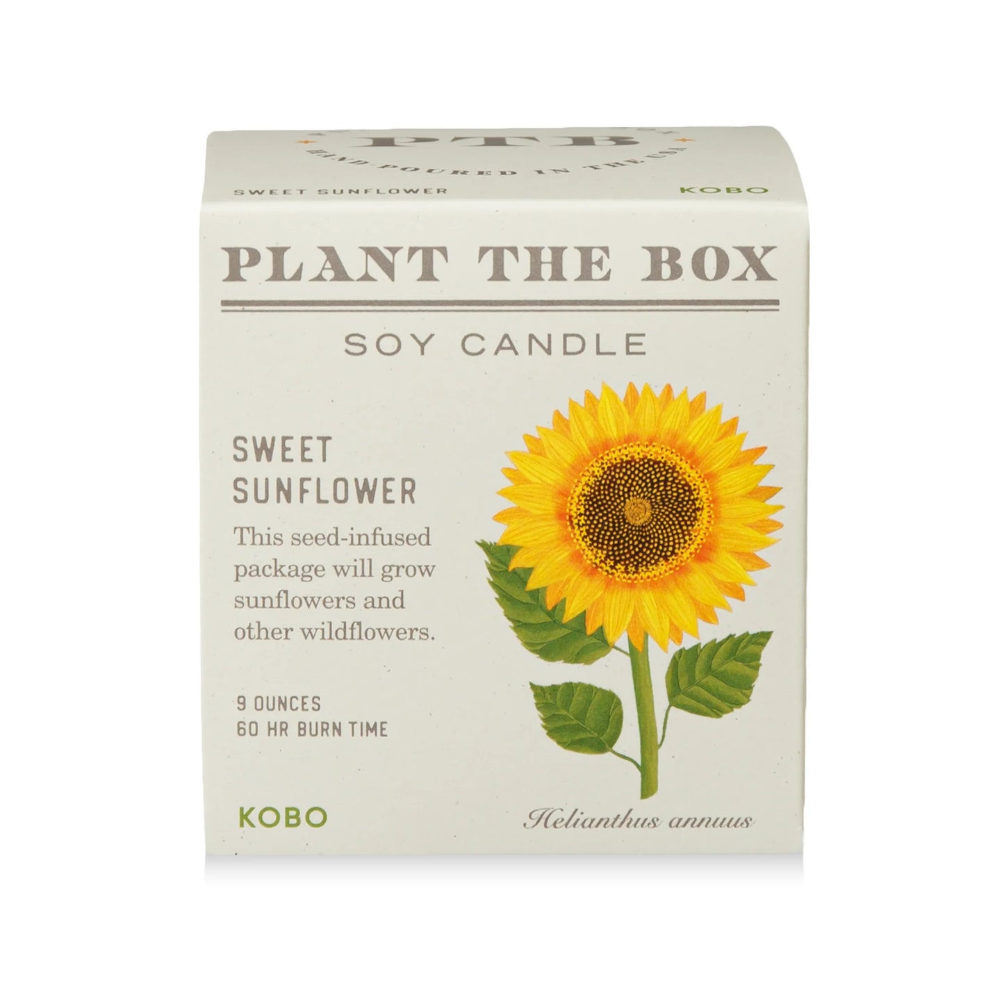 Plant The Box Sweet Sunflower Candle 9oz