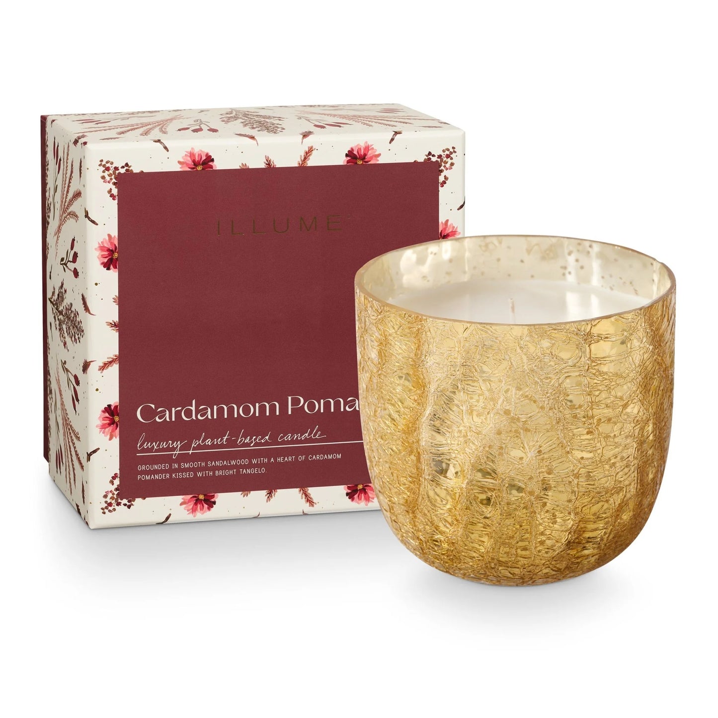 Cardamom Pomander Candle 21.5 oz