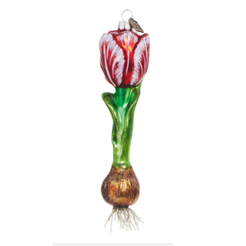 EC 6.5" Tulip Bulb Ornament Red