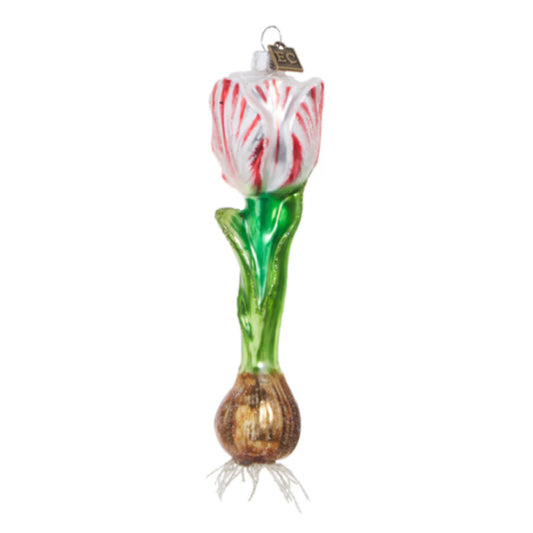 EC 6.5" Tulip Bulb Ornament White