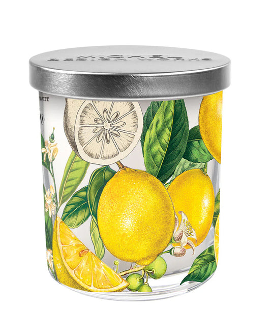 Michel Design Works Candle Jar with Lid - Lemon Basil