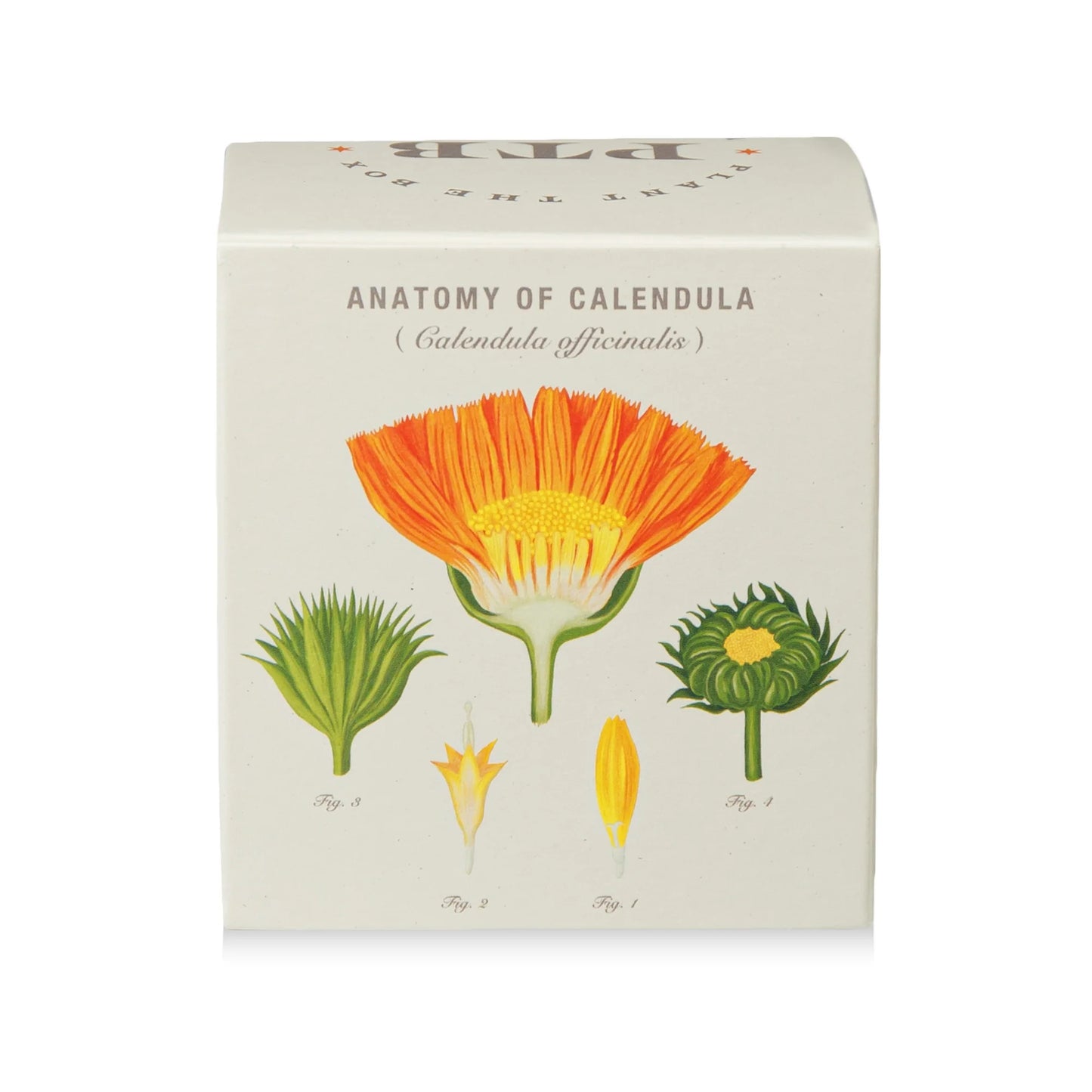 Plant The Box Catalan Calendula Candle 9oz