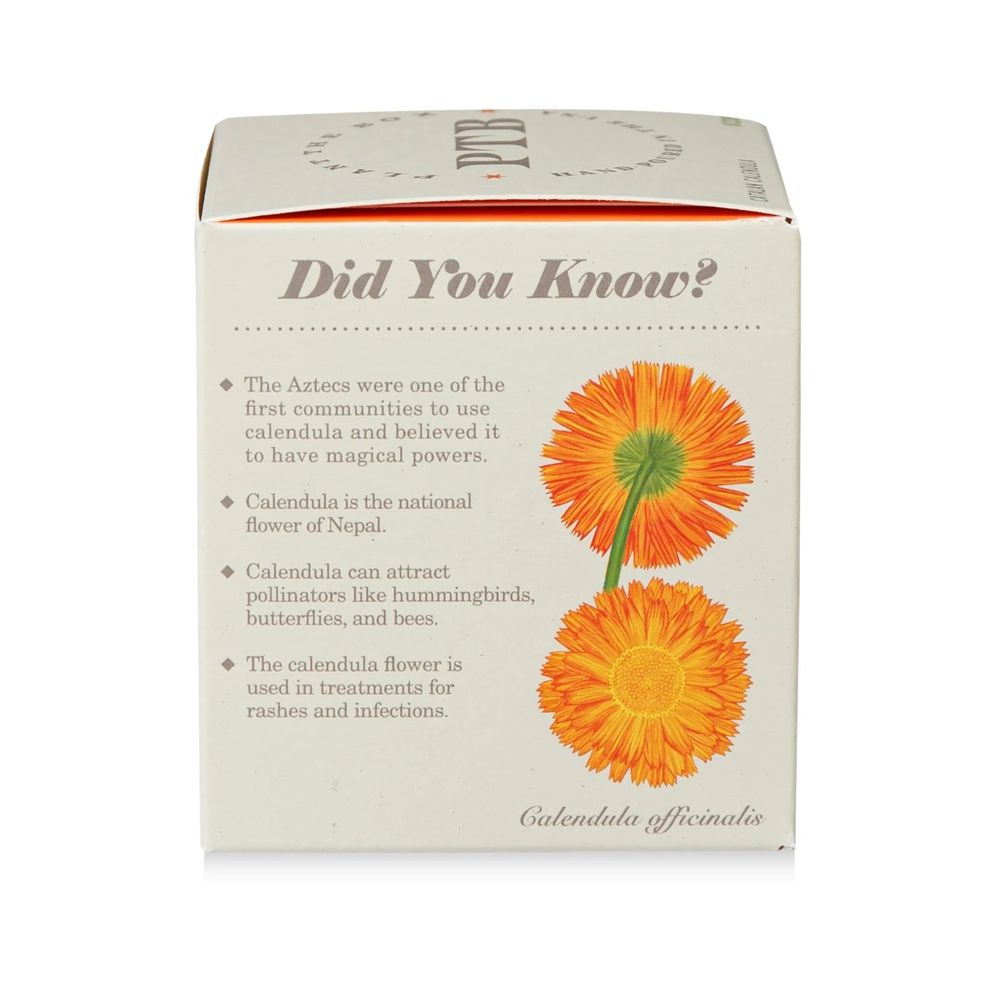 Plant The Box Catalan Calendula Candle 9oz