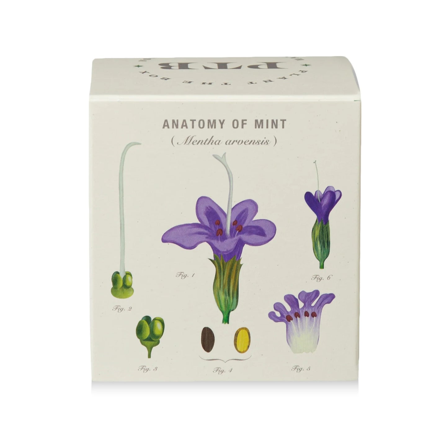 Plant The Box Crushed Mint Candle 9oz