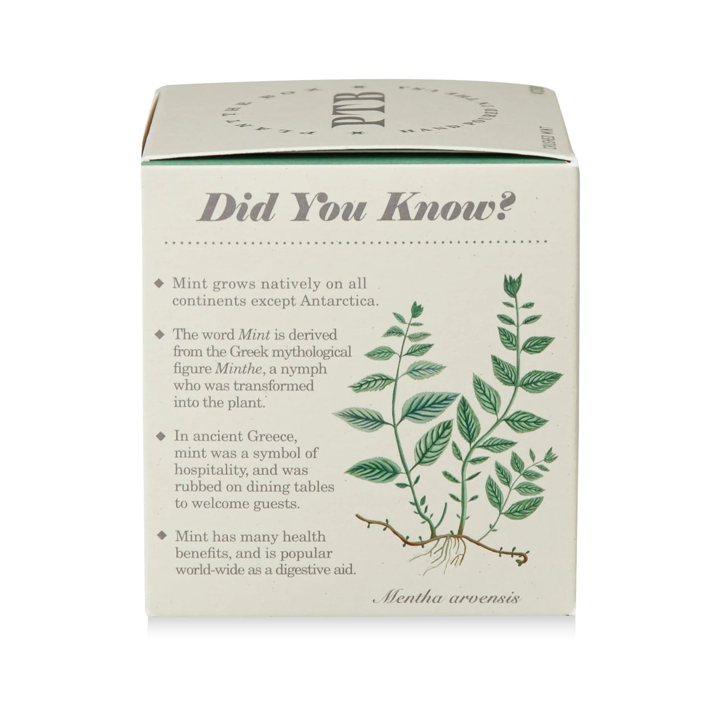 Plant The Box Crushed Mint Candle 9oz
