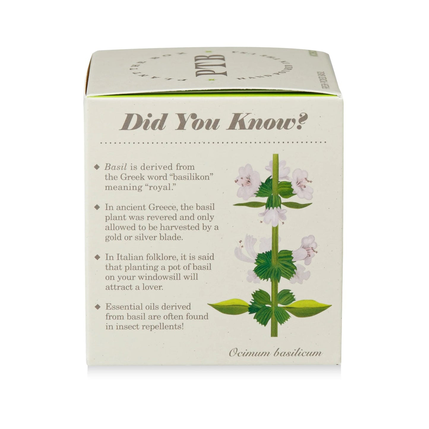 Plant The Box Fresh Picked Basil Candle 9oz